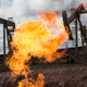Illustration for article titled It's Official: 'Freedom Gas' Is the Worst Phrase of the Year